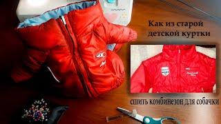 Как сшить комбинезон для йорка из старой детской куртки?