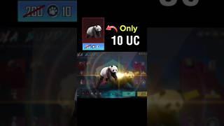 10 UC Only  Panda Buddy