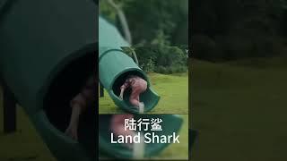 Shark attacks girl! #电影放映厅 #movie #thriller #冒险#shorts