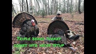 Georgia turkey hunt results in a triple beard turkey!