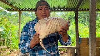 If you do NOT like ARMADILLO it is because you have not prepared it with this RECIPE | Don Valentin