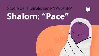 Shalom – Pace