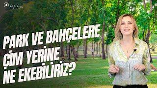 Park ve Bahçelere Çim Yerine Ne Ekebiliriz?