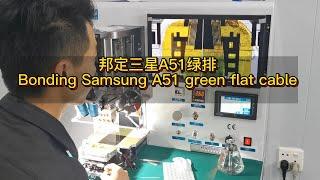 ZJWY EN-501C Bonding Samsung A51 green flat cable