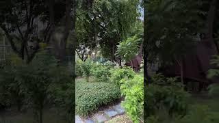 Walking on a windy day at Benjasiri Park in Bangkok, Thailand 