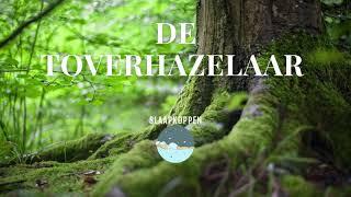 De Toverhazelaar | Slaapmeditatie en -verhaal | Slaapkoppen De Slaap Podcast