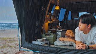 Solo Camping in Rain with My Dog . East Sea of ​​Korea . Relaxing Sound of Waves ASMR