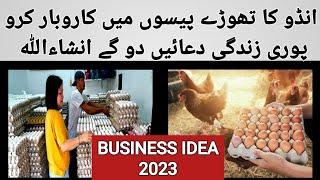 Egg business idea 2023 | egg business in pakistan | wattoo tech