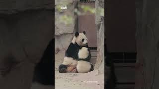 艾莉艾斯的母子时光