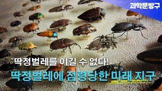 "딱정벌레를 이길 수 없다!" 딱정벌레에 점령당한 미래 지구 #insects #딱정벌레#지구멸망