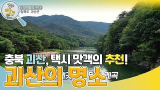 충북 괴산의 숨겨진 맛집들~ [생활의 발견] | KBS 230807 방송