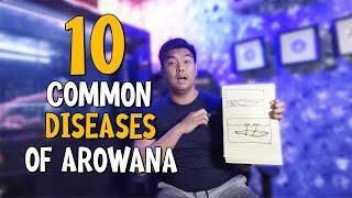 10 COMMON DISEASES OF AROWANA | HOW TO CURE