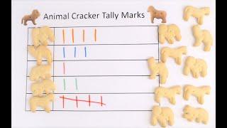 Tally Marks | How to Teach Tally Marks with Animal Crackers | Tally Counting 1-5 | Kindergarten