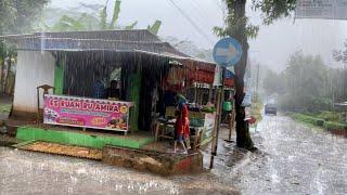 Stormy Rain and Strong Winds Hit the Village,99% Fall asleep quickly and relieve insomnia with Storm