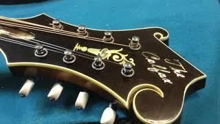 Long Lost Mandolin by scott baxendale