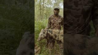 Louisiana Spot and Stalk Hog Hunt