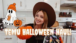 Temu Halloween Haul 2024!