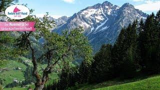 Urlaub mit Hund im Kleinwalsertal, dem Kleinod in den Allgäuer Alpen!