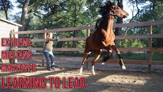 Learning to Lead | Extreme Mustang Makeover Day 4