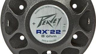 PEAVEY 22XT, replacement new voice coil, test sound