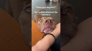 He is begging for something