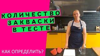 Количество закваски в тесте: как определить, сколько класть?‍️