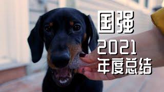 肥腊肠 国强的2021年度总结 | Dachshund Loki’s 2021 | 我的主人有点坑