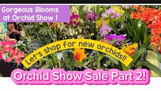 Orchid Sale! Let’s shop for plants & Orchids in Miami