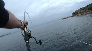 Live baiting for big fish