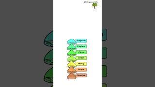 Taxonomic Categories of Man, Mango, Wheat and Housefly