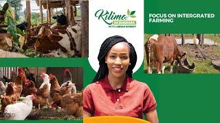 Focus On Integrated Farming | Kilimo na Biashara