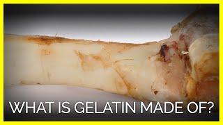 What Is Gelatin Made Of?