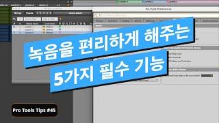 프로툴스에서 반드시 알고 있어야 하는 5가지 녹음 필수 기능 / Pro Tools Tips / 프로툴 팁 #45