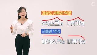 [사투리 교정법] 서울말을 쓰고 있다 말하는 지방러들에게 ""지↗금 서울↘말 썼는데...?"