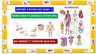 Anatomy & Physiology Class - 1 | Bsc Nursing 1st semester 2024 | Bsc Nursing online classes#nursing