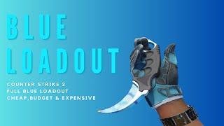 BLUE LOADOUT ! CS2 Full Blue Cheap,Budget & Expensive Skins