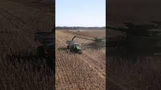 Golden Grain Achieved: John Deere in Ukraine’s Sunflower Fields