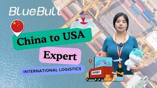 Blue Bull International Logistics: Leader Shipping Agency of China-US Transportation