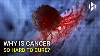 Why is Cancer Hard to Cure?