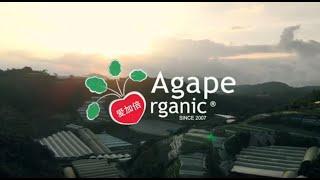 Agape Organic 爱加倍有机农业