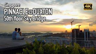 Singapore - Pinnacle@Duxton | Amazing views from Sky Bridge