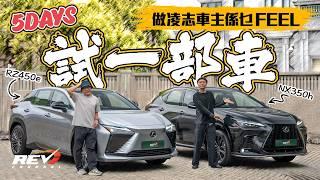 Lexus RZ450e Luxury & NX350h F-Sport 揸足五日！深度詳細體驗 車主角度測試 凌志SUV全方位評測 #REVchannel