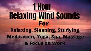 1 Hour Relaxing Wind Sounds With Beautiful Scenes of Sky Shades For Sleeping/Studying/Relaxing/focus