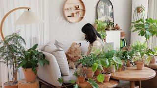 33 Types of Plant Decor Plants that Make Your Home Neat and Warm Tips for Growing Healthy Plants