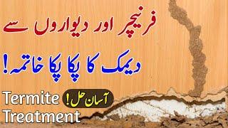 Termite Treatment: Dimak Ka Ilaj | Demak khatam karne ka tarika | Dimak Se Chutkara