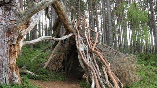 Building a shelter in the Woodlands