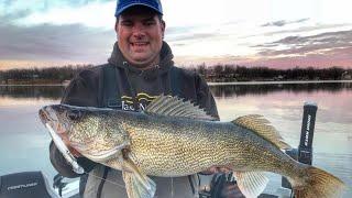 Trophy WALLEYE Tactics trolling the new Salmo Rattlin' Sting- Jason Mitchell Outdoors