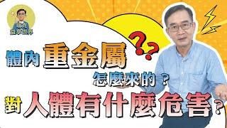 體內 重金屬 怎麼來的？對人體有什麼危害？｜健康便利貼｜瑞克的益享世界｜真益生