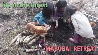 Self-Sufficiency, Forest Life, Rural Japan,  Ordinary spring days