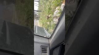 Prevrtanje sa džipom            Rolling over with the car              #viralvideo #goviral